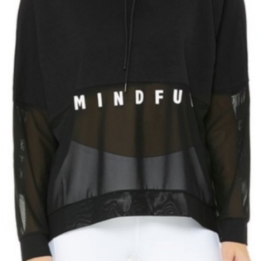 ❌Sold❌Alo Yoga Mindful Perspective Hoodie - Picture 5 of 10
